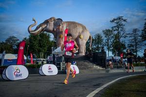 BIB: 
                            <button type="button" onclick="openModal(26541898)" class="btn btn-primary btn-sm float-right btn-popup" data-toggle="modal" data-target=".modal-high-quality">
                        <i class="fas fa-shopping-cart"></i> Add to Cart
                    </button>
                                            <button type="button" onclick="isThisMe(26541898, true)" class="btn btn-success btn-sm float-right btn-popup btn-isme hidden" data-toggle="tooltip" data-placement="bottom" title="นี่คือรูปของคุณใช่ไหม คลิกที่นี่เพื่อเอาเข้าอัลบั้ม">
                        <i class="fas fa-plus"></i> Add to album
                    </button>
                    <button type="button" onclick="isThisMe(26541898, false)" class="btn btn-warning btn-sm float-right btn-popup btn-isnotme hidden">
                        <i class="fas fa-ban"></i> Remove from album
                    </button>